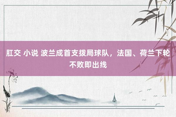 肛交 小说 波兰成首支拨局球队，法国、荷兰下轮不败即出线