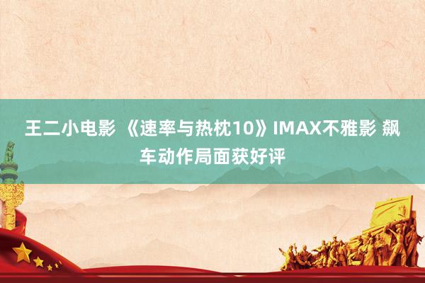 王二小电影 《速率与热枕10》IMAX不雅影 飙车动作局面获好评