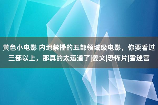 黄色小电影 内地禁播的五部领域级电影，你要看过三部以上，那真的太运道了|姜文|恐怖片|雪迷宫