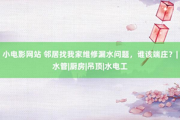 小电影网站 邻居找我家维修漏水问题，谁该端庄？|水管|厨房|吊顶|水电工